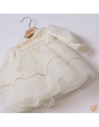 Embroidered silk organza dress