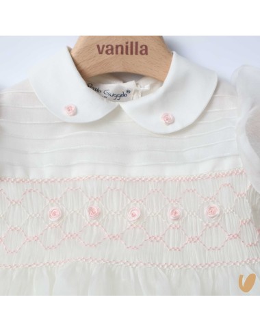 Embroidered silk organza dress