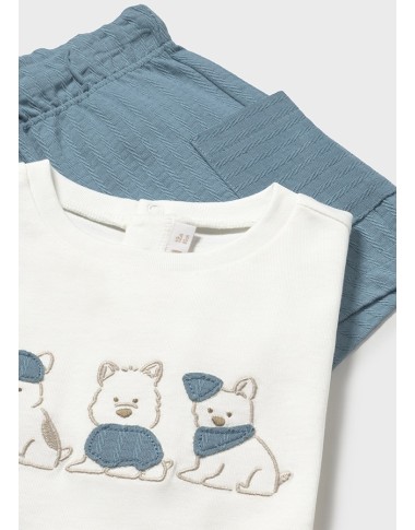 Complete shirt and bermuda