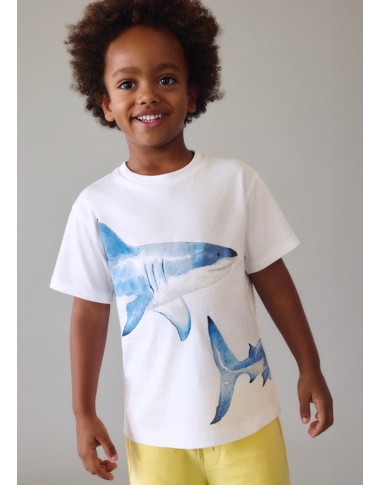 Shirt squali T-Shirt e Polo