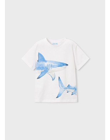 Shirt squali T-Shirt e Polo