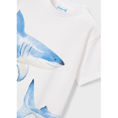 Shirt squali T-Shirt e Polo