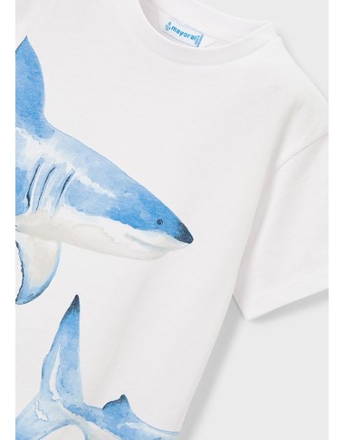 Shirt squali T-Shirt e Polo