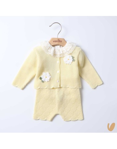 Daisies complete in wire