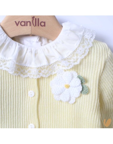 Daisies complete in wire