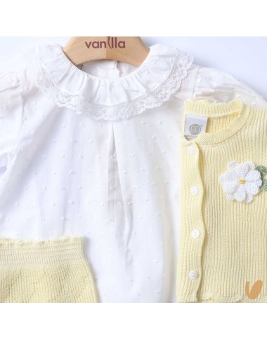 Daisies complete in wire