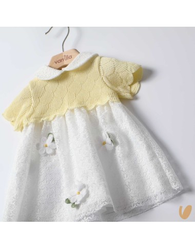 Daisies wire dress