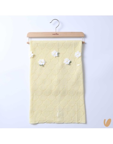 Daisies blanket
