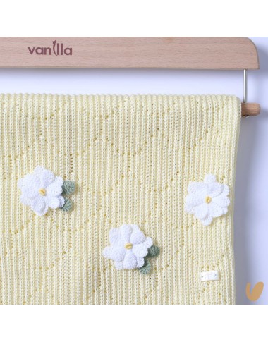 Daisies blanket