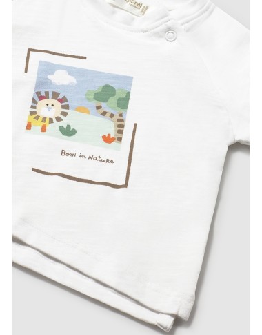 T-shirt T-Shirt e Camicia