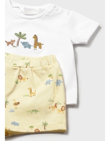 Complete Shit and Bermuda Savana