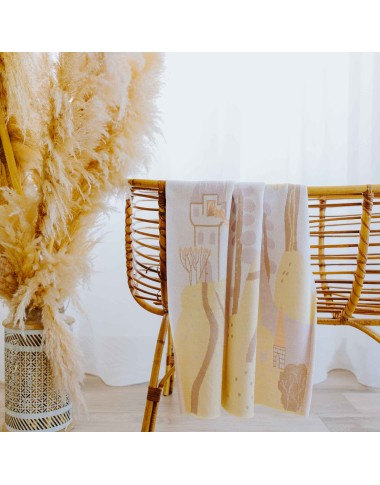 Illustrated blanket the fable