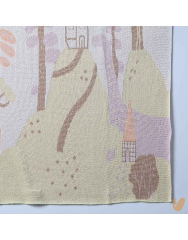 Illustrated blanket the fable