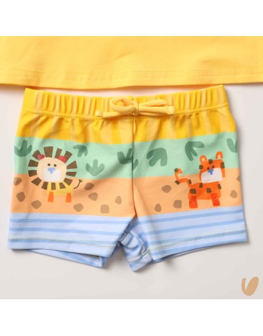 Complete costume shirt and hat