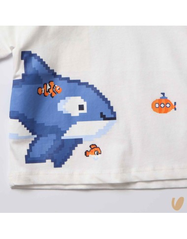 Shirt squalo T-Shirt e Camicia