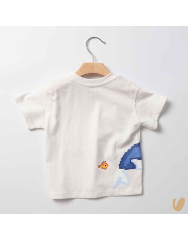 Shirt squalo T-Shirt e Camicia