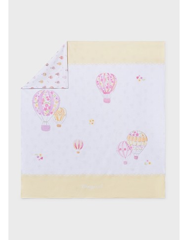 Hot air balloon cover