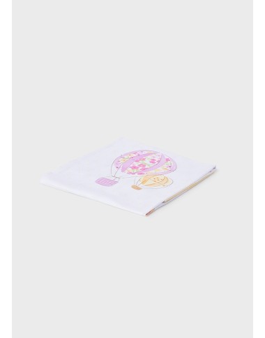 Hot air balloon cover