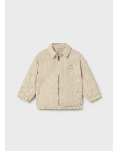 Reversible windbreaker