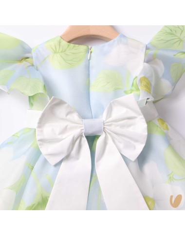 Chiffon dress and band