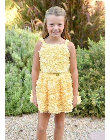 Top and 3D flowers skirt