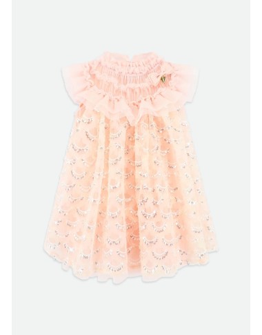 Tulle and Paiettes dress