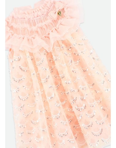 Tulle and Paiettes dress