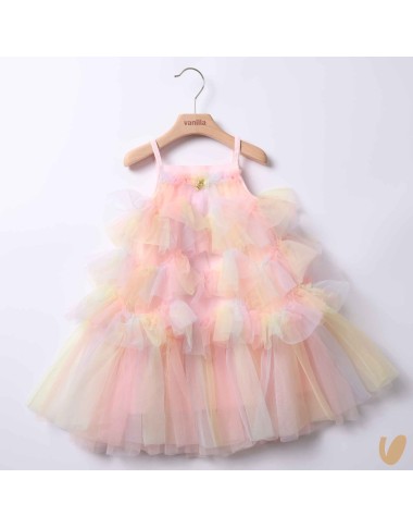 Rainbow tulle dress