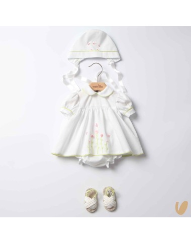 Complete birth in piqué flowers and butterflies