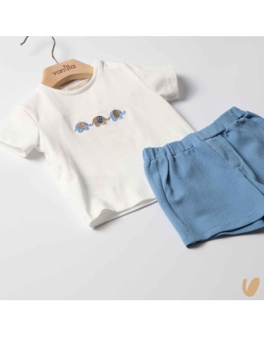 Complete Shit and Bermuda Elephantine