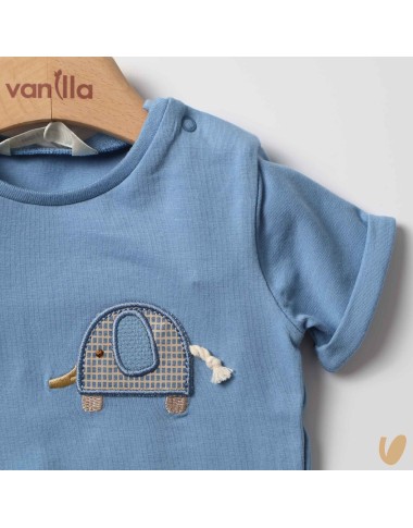 Complete Shit and Bermuda Elephantine