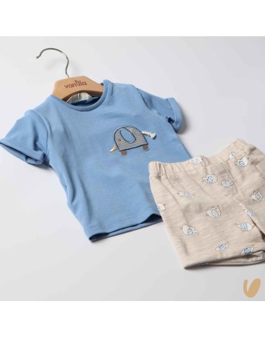 Complete Shit and Bermuda Elephantine