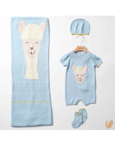 Complete birth of silk and cotton alpachino