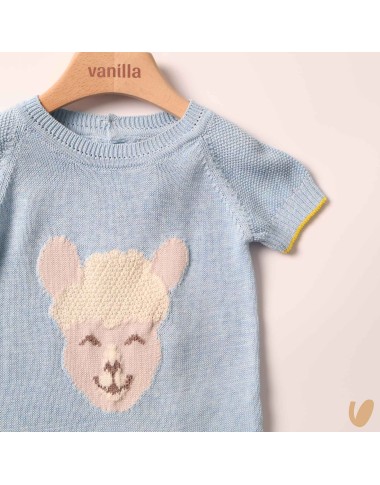 Complete birth of silk and cotton alpachino