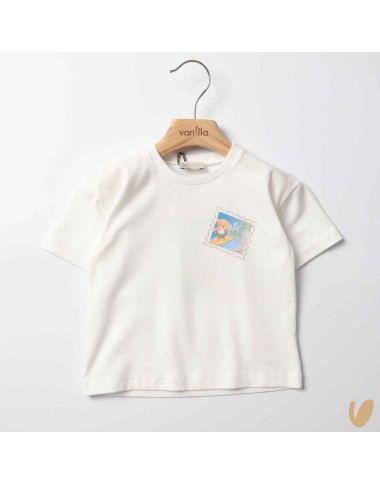 T-shirt bear surfing