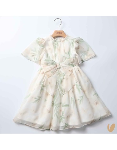 Chiffon flowers dress