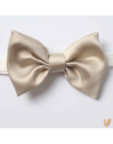 Papillon satin Cinture e Bretelle
