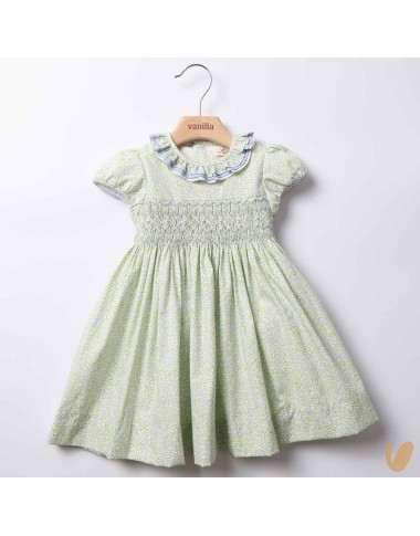 Dress in poplin smock point