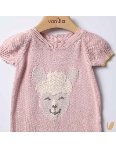 Complete birth of silk and cotton alpachino