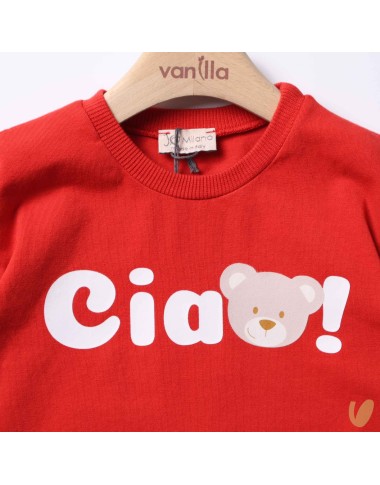 "Hi" t-shirt with bear