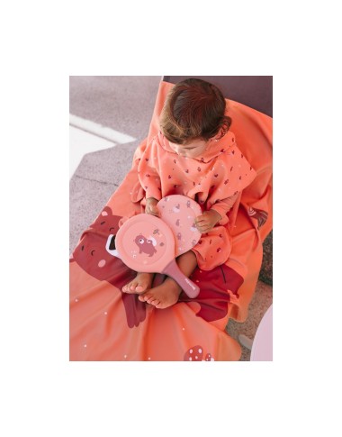 Poncho Beach bear camping