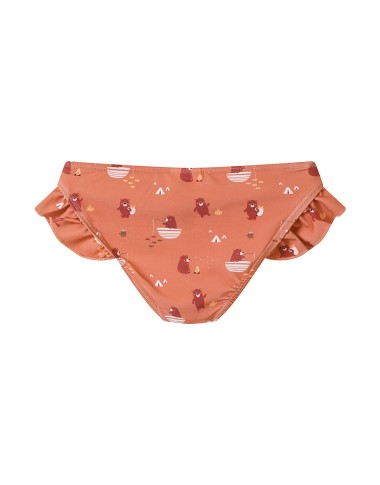 Costume briefs bear camping