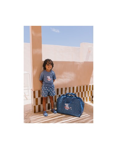 Costume da bagno Hippos Mare