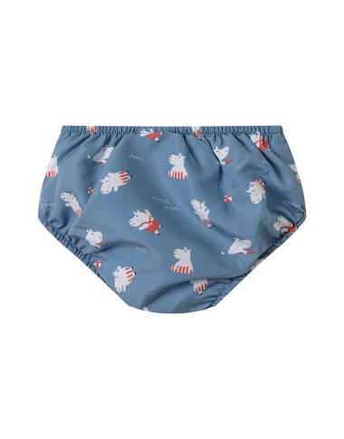 Hippos Containing Costume
