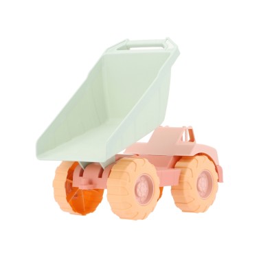 Camion con Ribalta Accessori