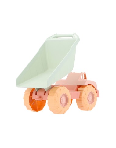 Camion con Ribalta Accessori