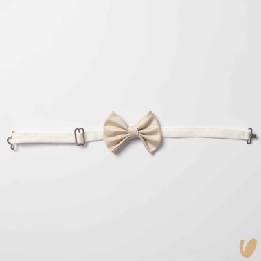 Papillon shantung Cinture e Bretelle