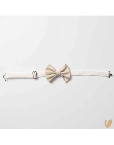 Papillon shantung Cinture e Bretelle