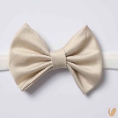 Papillon shantung Cinture e Bretelle