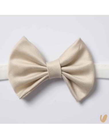 Papillon Shantung